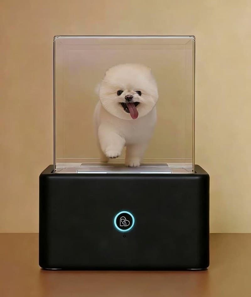 MyLoveIsBack pet display preview